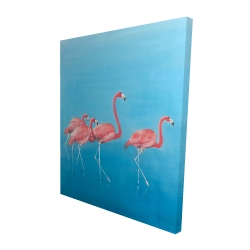 Four flamingos