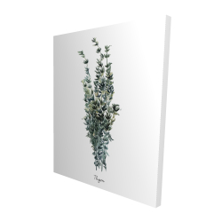 Thyme leaves bundle - fr