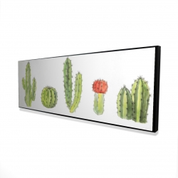 Watercolor small cactus set