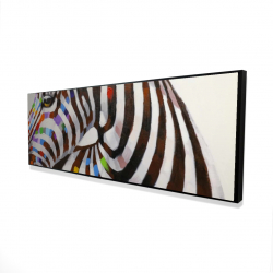 Colorful zebra