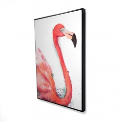 Splashing flamingo