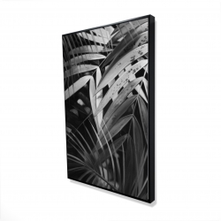 Feuilles tropicales monochrome