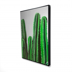 Cactus candles