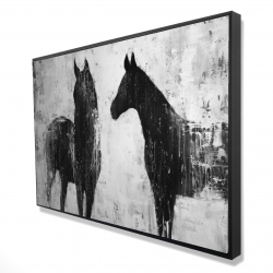 Black and white horses