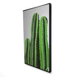 Cactus candles