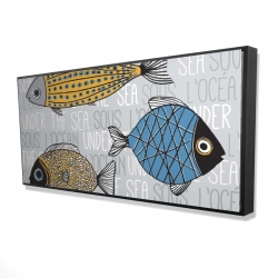 Fishes' illustration