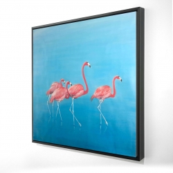 Four flamingos