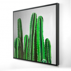 Cactus candles