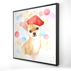 Chien chihuahua artiste