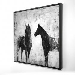 Black and white horses