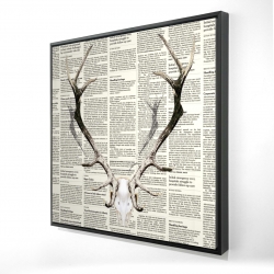 Deer horns on newspaper