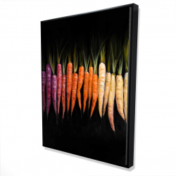 Colorful carrots