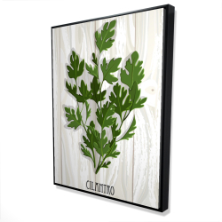 Cilantro on wood