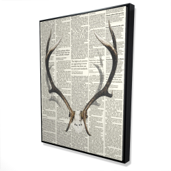 Deer horns with newspaper