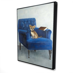 Chihuahua on a blue armchair
