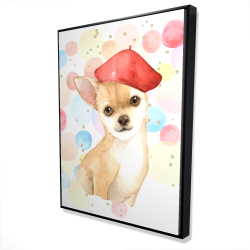 Chien chihuahua artiste