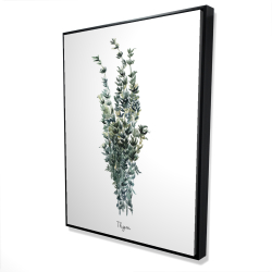 Thyme leaves bundle - fr