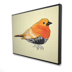 Little orange bird illustration
