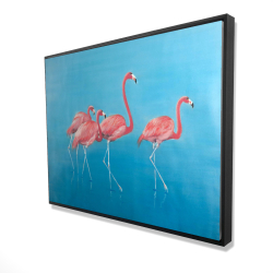 Four flamingos