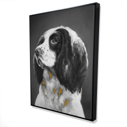 Chien springer spaniel anglais