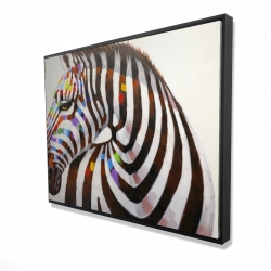 Colorful zebra