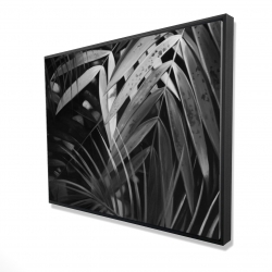 Feuilles tropicales monochrome