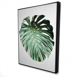 Feuille de monstera