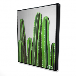 Cactus candles