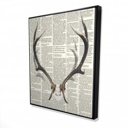 Deer horns with newspaper