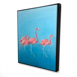 Four flamingos