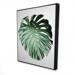 Feuille de monstera