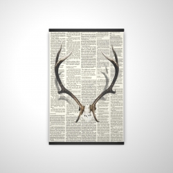 Deer horns with newspaper