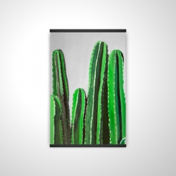 Cactus candles