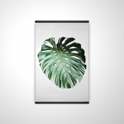 Feuille de monstera