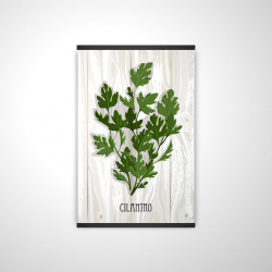 Cilantro on wood