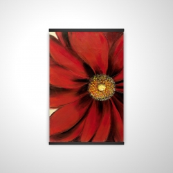 Red daisy