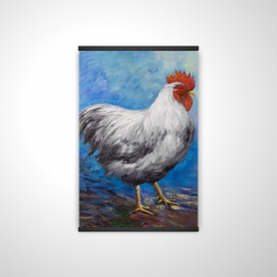 Grey rooster