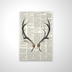 Deer horns with newspaper