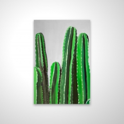 Cactus candles