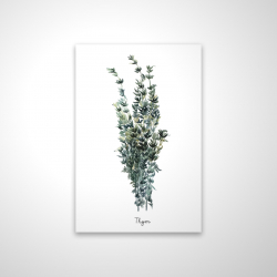 Thyme leaves bundle - fr