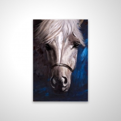 White horse on blue background