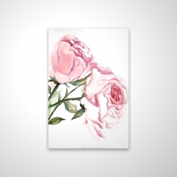 Watercolor pink roses