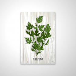 Cilantro on wood