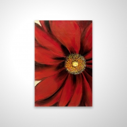 Red daisy