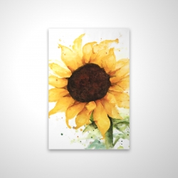 Tournesol