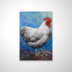 Grey rooster