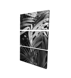 Feuilles tropicales monochrome