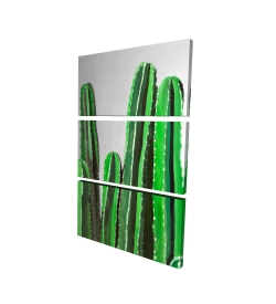 Cactus candles