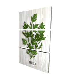 Cilantro on wood