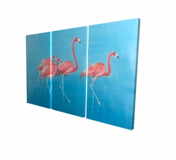 Four flamingos